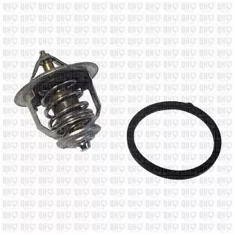 Thermostat d'eau QUINTON HAZELL