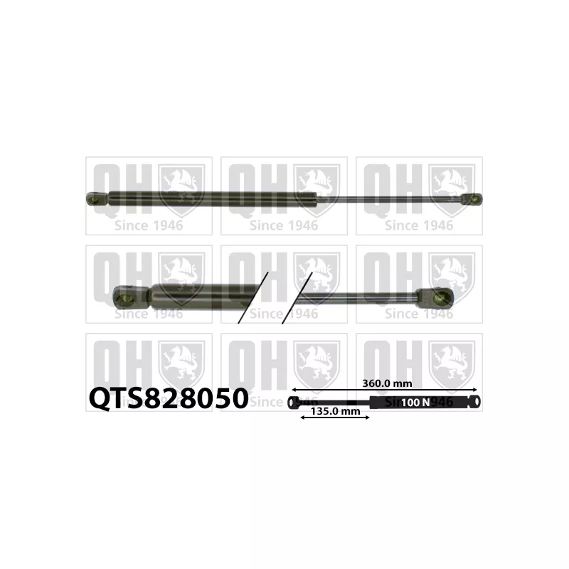 Vérin de hayon, de coffre QUINTON HAZELL QTS828050