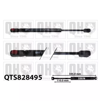 Vérin, capot-moteur QUINTON HAZELL QTS828495