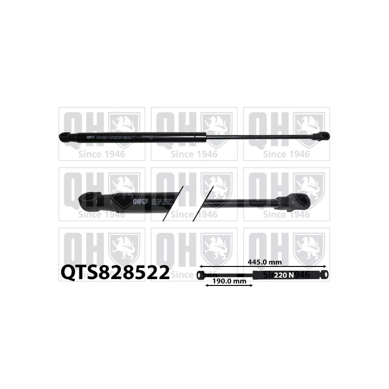 Vérin, vitre arrière QUINTON HAZELL QTS828522
