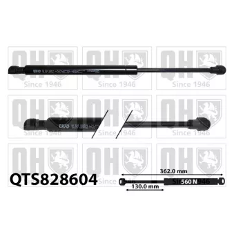 Vérin, capot-moteur QUINTON HAZELL QTS828604