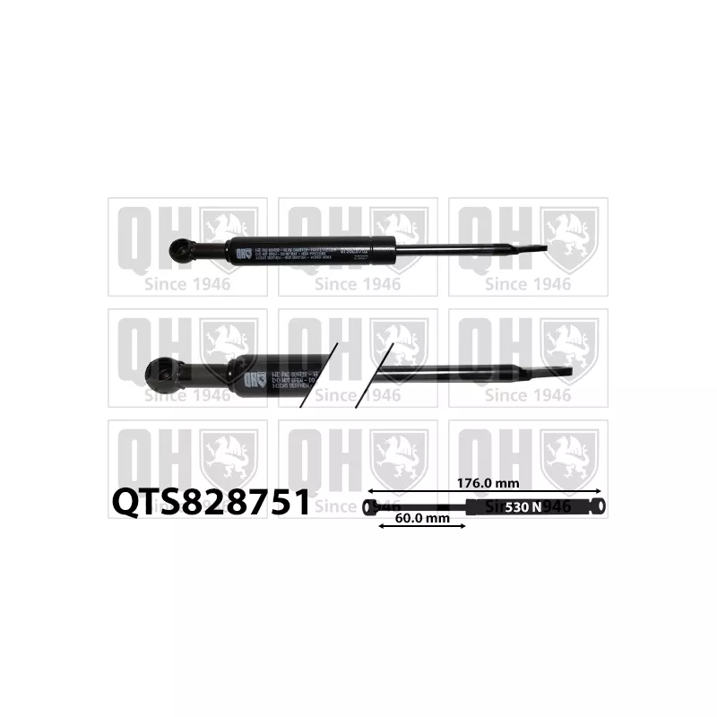 Vérin, vitre arrière QUINTON HAZELL QTS828751