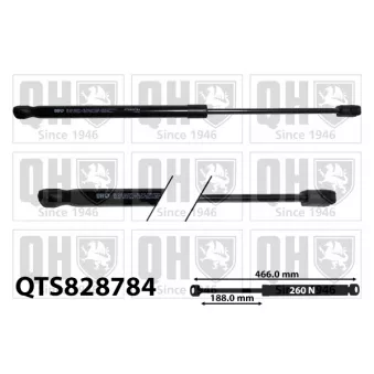 Vérin, capot-moteur QUINTON HAZELL QTS828784