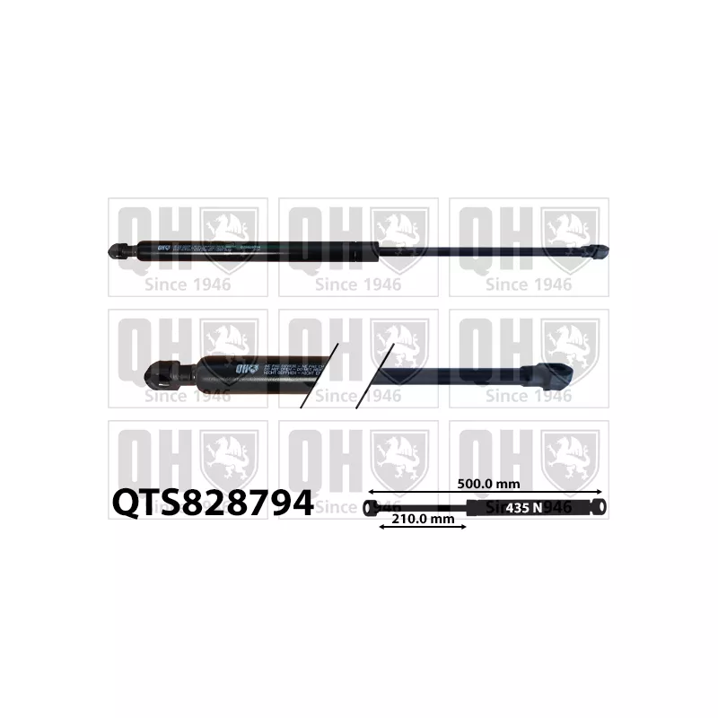 Vérin de hayon, de coffre QUINTON HAZELL QTS828794