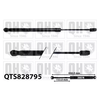 Vérin, capot-moteur QUINTON HAZELL QTS828795