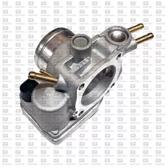 Corps papillon QUINTON HAZELL XPOT519