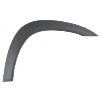 Baguette et bande protectrice, aile avant droit BLIC 5703-08-8179374P