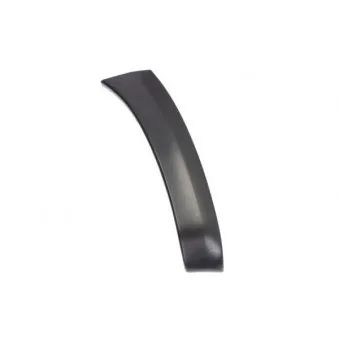 Baguette et bande protectrice, aile avant droit BLIC 5703-08-8179378P
