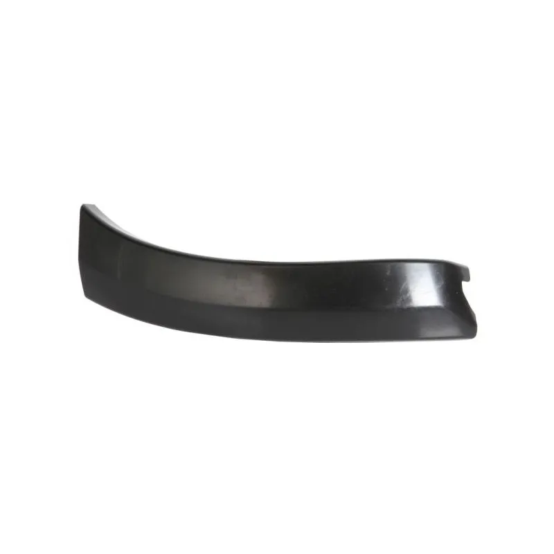 Baguette et bande protectrice, aile avant gauche BLIC 5703-08-8179379P