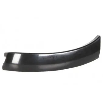 Baguette et bande protectrice, aile avant droit BLIC 5703-08-8179380P