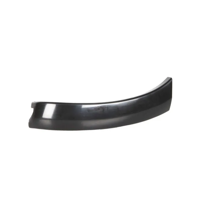 Baguette et bande protectrice, aile avant droit BLIC 5703-08-8179380P