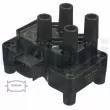 Bobine d'allumage DELPHI CE20044-12B1 - Visuel 1