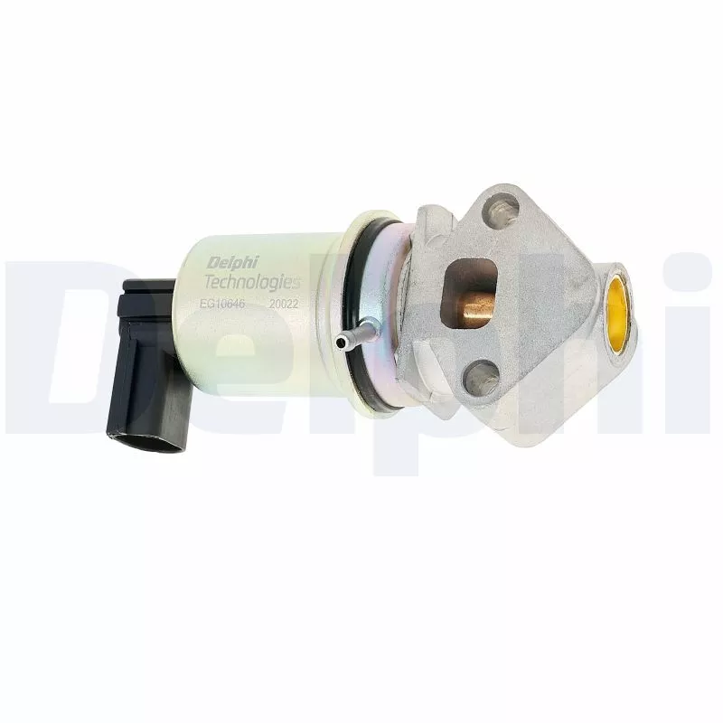 Vanne EGR DELPHI EG10646-12B1