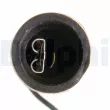 Sonde lambda DELPHI ES10240-12B1 - Visuel 3