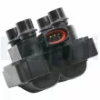 Bobine d'allumage DELPHI GN10177-12B1 - Visuel 1