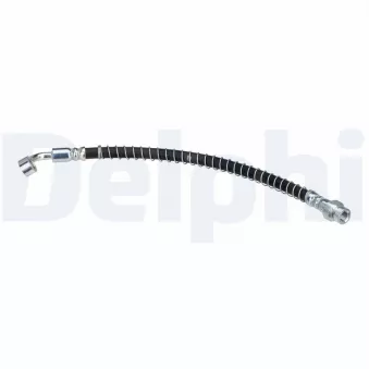 Flexible de frein DELPHI
