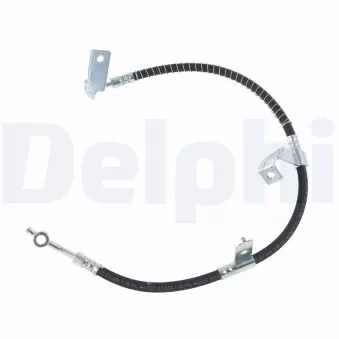 Flexible de frein DELPHI