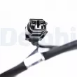 Capteur, vitesse de roue DELPHI SS21341-12B1 - Visuel 2