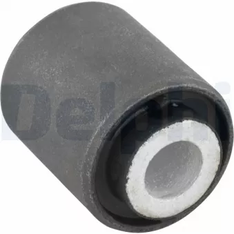 Suspension, jambe d'essieu DELPHI TD450W