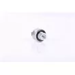 Pressostat, climatisation NISSENS 301008 - Visuel 3