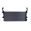 Radiateur, refroidissement du moteur NISSENS 607023 - Visuel 1