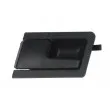 Poignet de porte, équipment intérieur avant gauche BLIC 6010-01-013409P - Visuel 1