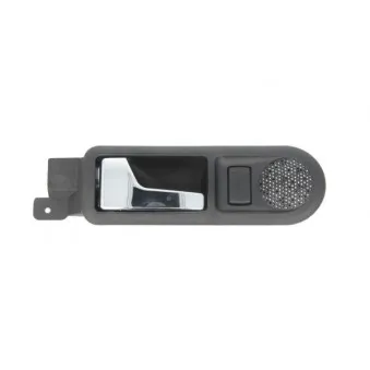Poignet de porte, équipment intérieur arrière gauche BLIC 6010-01-022409TP