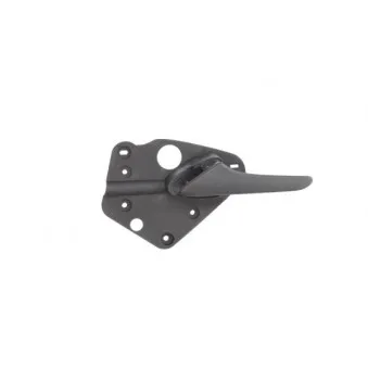 Poignet de porte, équipment intérieur avant gauche BLIC 6010-02-037409P