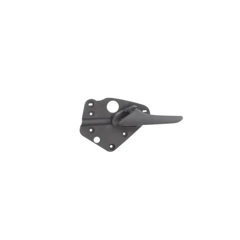 Poignet de porte, équipment intérieur avant gauche BLIC 6010-02-037409P