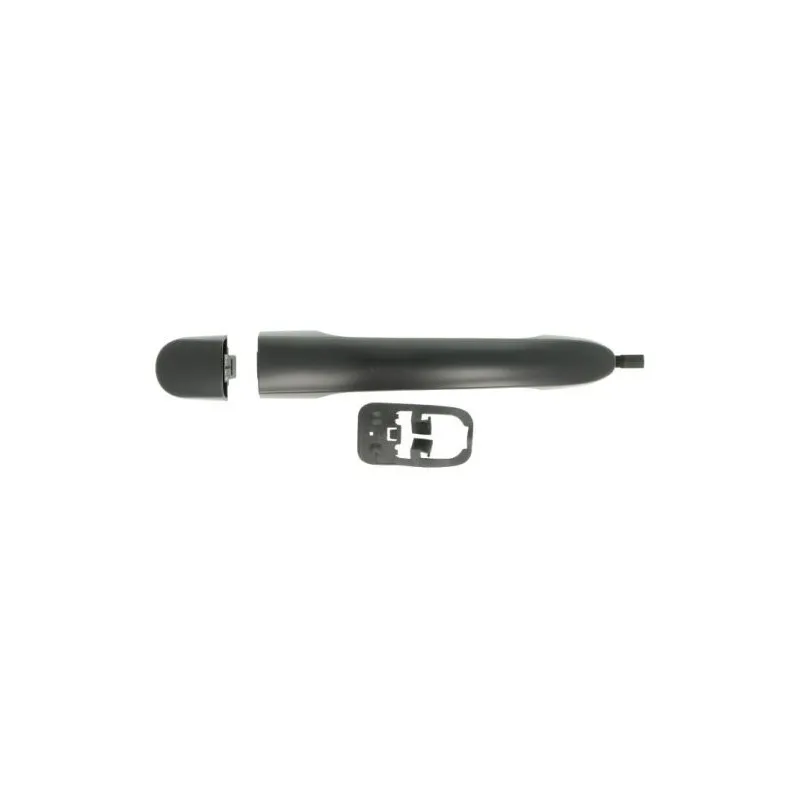 Poignée de porte BLIC 6010-03-048402P