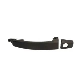 Poignée extérieure de porte avant gauche BLIC 6010-04-048401P