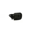 Poignet de porte, équipment intérieur arrière droit BLIC 6010-05-004408TP - Visuel 2