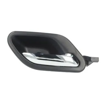 Poignet de porte, équipment intérieur avant droit BLIC 6010-05-011408P