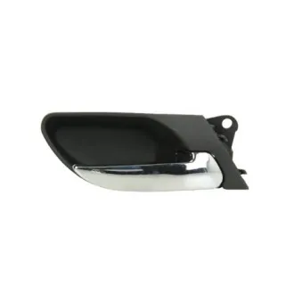 Poignet de porte, équipment intérieur avant droit BLIC 6010-05-013408P