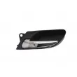 Poignet de porte, équipment intérieur avant gauche BLIC 6010-05-013409P - Visuel 1
