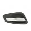Poignet de porte, équipment intérieur avant gauche BLIC 6010-05-021409P - Visuel 1