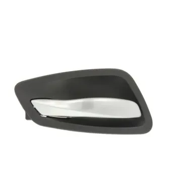 Poignet de porte, équipment intérieur avant gauche BLIC 6010-05-021409P