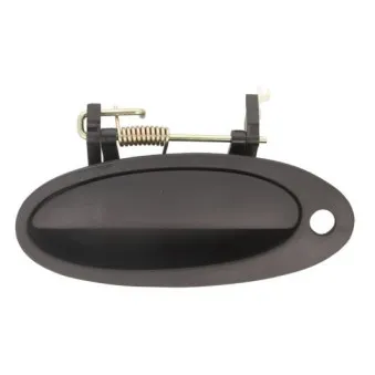 Poignée extérieure de porte avant gauche BLIC 6010-09-003401P