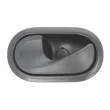 Poignet de porte, équipment intérieur avant gauche BLIC 6010-09-049409P - Visuel 1