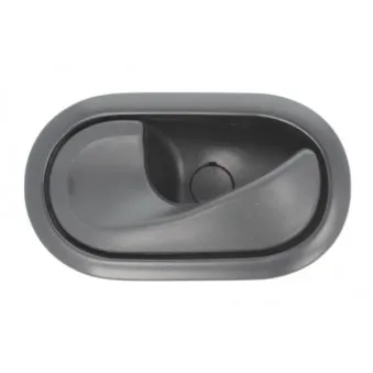 Poignet de porte, équipment intérieur avant gauche BLIC 6010-09-049409P