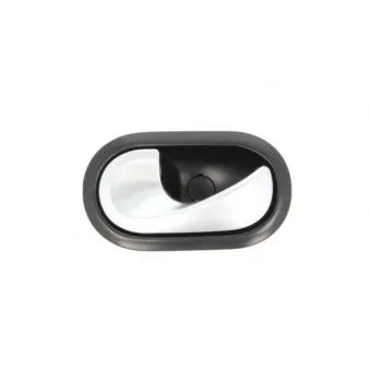 Poignet de porte, équipment intérieur avant gauche BLIC 6010-09-049409PP