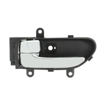 Poignet de porte, équipment intérieur avant gauche BLIC