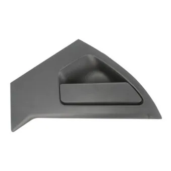 Poignée de porte arrière gauche BLIC 6010-16-059403P