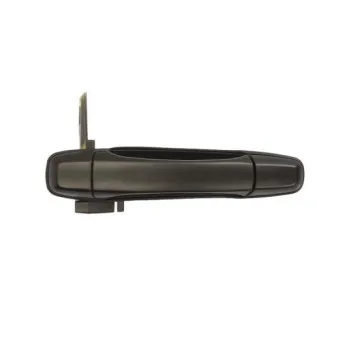 Poignée de porte arrière gauche BLIC 6010-17-012403P