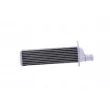 Intercooler, échangeur NISSENS 961221 - Visuel 1