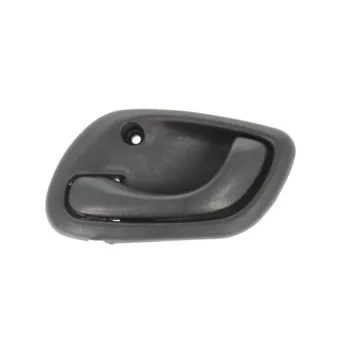 Poignet de porte, équipment intérieur avant gauche BLIC 6010-18-014409P