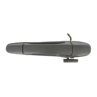 Poignée de porte arrière droit BLIC 6010-19-003404P