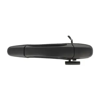 Poignée de porte arrière droit BLIC 6010-19-005404P