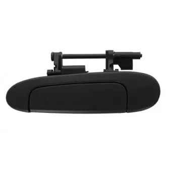 Poignée extérieure de porte arrière gauche BLIC 6010-19-039403P