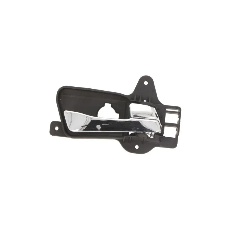 Poignet de porte, équipment intérieur arrière droit BLIC 6010-20-034408TP